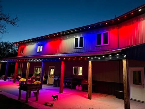 Modern house illuminated with dynamic red, blue, and purple LED lighting at night under a clear sky